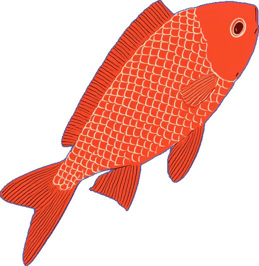 fish